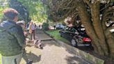 Un coche irrumpe en uno de los parques más conocidos de Oviedo para sorpresa de los peatones