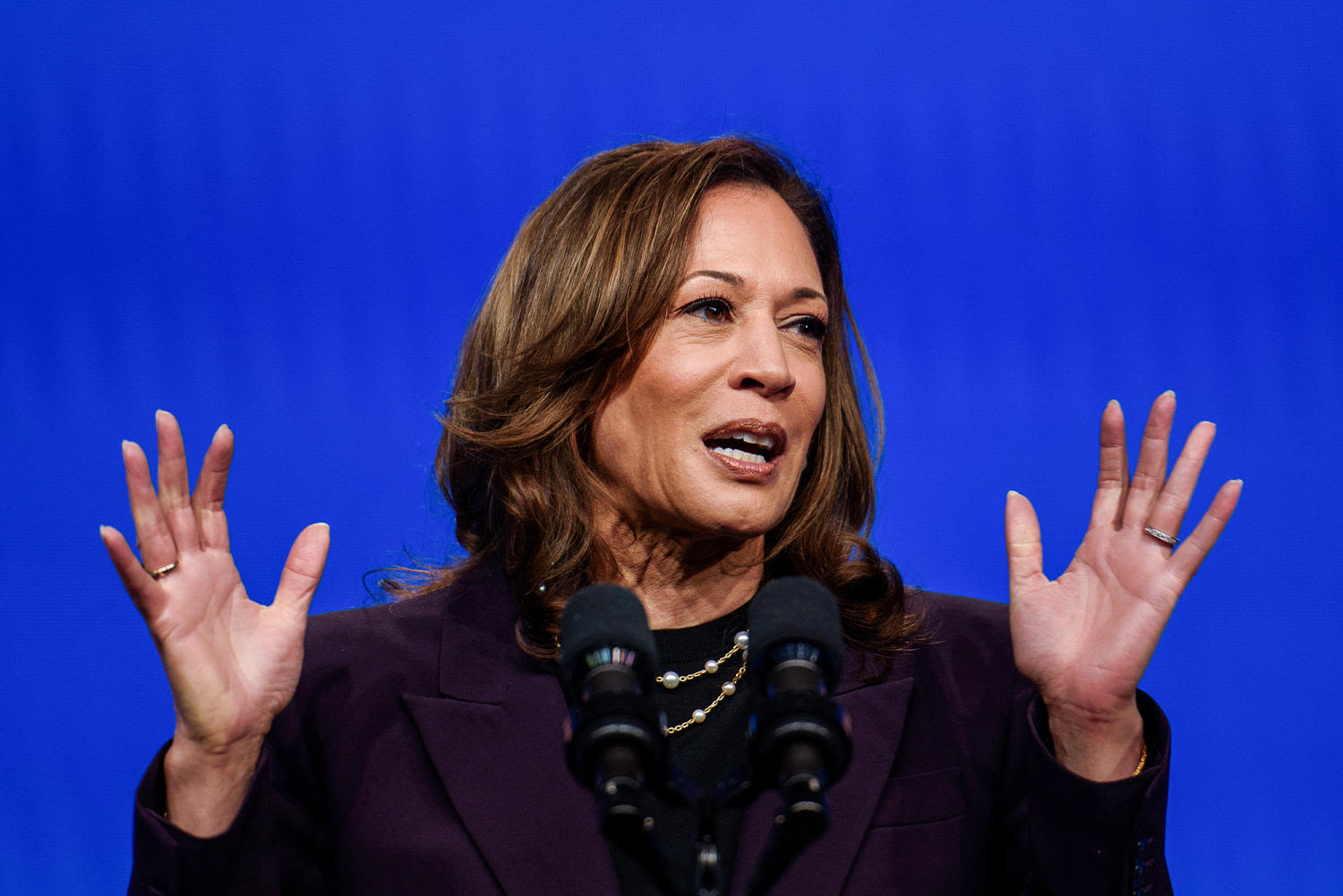 Opinion | MAGA attempts to weaponize DEI against Kamala Harris are absurdly predictable