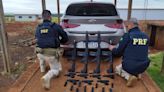 La Nación / Decomisan armas de guerra compradas en el mercado negro de la frontera