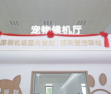 每隻貓狗都有獨立候機空間！全國首家寵物候機廳在深圳機場啟用