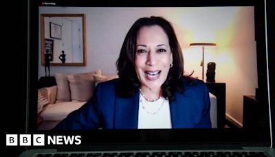 Giant Zoom calls powering record fundraising for Kamala Harris