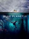 Der blaue Planet