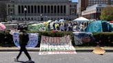 3 USF protestors arrested after pro-Palestinian rally on campus