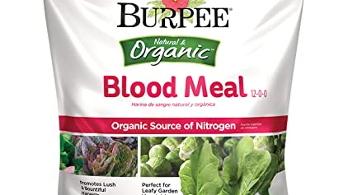 Burpee Organic Blood Meal Fertilizer | Add to Potting Soil | Excellent Natural Source of Nitrogen | for Tomatoes, Now 12% Off
