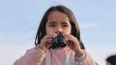 Annual bird count encourages kids to flock to nature, conservation