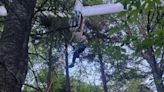 Pilot, 84, rescued from tree after glider crashes in White Mountains