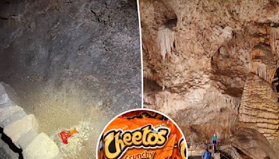 How a single bag of smuggled Cheetos sparked a ‘world-changing’ impact in national park