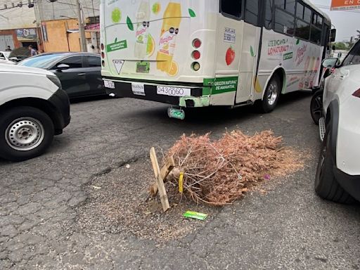 Colocan árbol de Navidad para señalar un bache en la Álvaro Obregón