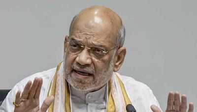 Amit Shah on crime codes: Open to review, but please don't do politics