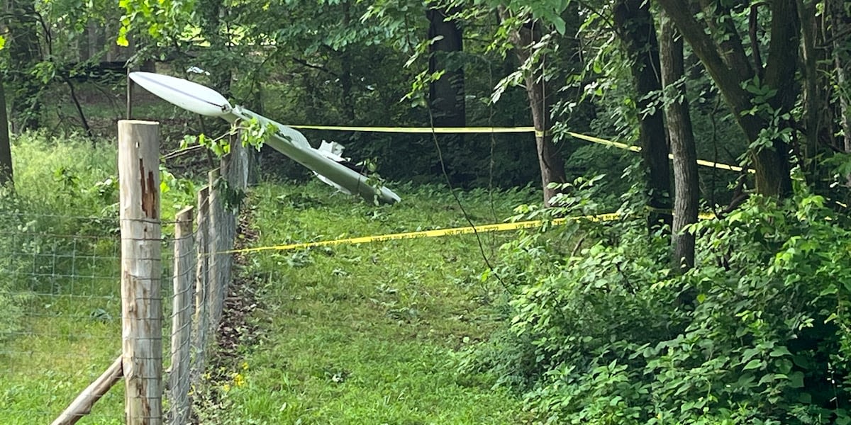 Plane registered to Louisiana doctor crashes in Williamson County, killing 3, officials say