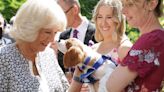 ‘Find a friend for life’ at Battersea Dogs and Cats Home urges Camilla