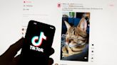 Who Could Buy TikTok? Here’s Who’s Been Floated As A Potential Buyer As Biden Signs Ban Bill Into Law.