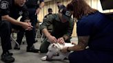 Anna 4 Paws gifts Louisiana K-9 units with canine-specific first-aid equipment