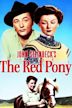 The Red Pony (1949 film)