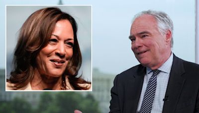 ¿Qué debería considerar Kamala Harris para elegir a su compañero de fórmula?