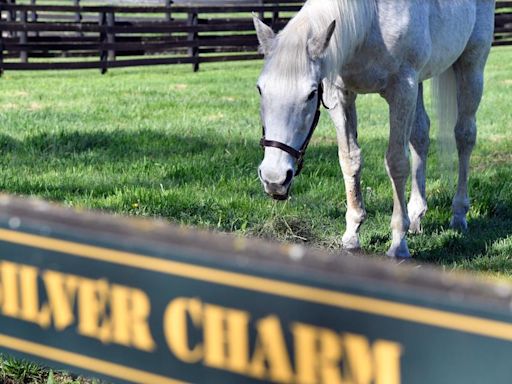 For ex-Derby winner Silver Charm, it's a life of leisure and Old Friends at Kentucky retirement farm