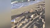 Boat wreckage scattered across Nimitz Beach after being washed ashore