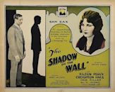 The Shadow on the Wall (1925 film)