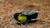 Section VI softball champions: Lancaster, Clarence, Iroquois, Fredonia, Wilson, Westfield, Ellicottville