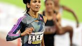 NATIONAL INTER-STATE ATHLETICS | Eyeing a Paris ticket, India’s top athletes gear up one last time