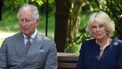 King Charles ‘overruled’ Queen Camilla when she didn’t want him to reveal his health conditions: author