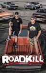 Roadkill (web series)