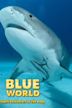 Blue World: Shark Encounters in the Deep