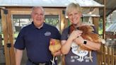 Chicken therapy nonprofit’s leaving Naperville for Sycamore but owners still hoping for a place closer to city