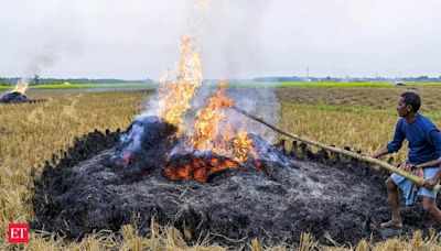 Punjab govt prepares Rs 500-crore action plan to check stubble burning