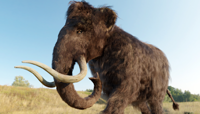 A 52,000-Year-Old Piece of Woolly Mammoth 'Jerky' Is Being Called a 'Game-Changer' by Scientists