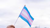 "Victory!": Federal judge strikes down Arkansas gender-affirming care ban