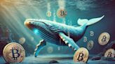 Bitcoin Whales Exhausted as BTC Steadies Above $67K, Eyeing $69K Milestone - EconoTimes