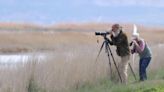 Behind the gates: Bear River bird refuge invites public to explore normally closed route