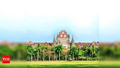 Bombay High Court Shows Leniency Towards Litigant Despite Outburst | Mumbai News - Times of India