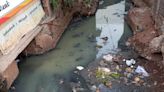 Problem of choked drains, stagnant sewage water persists in Manapparai