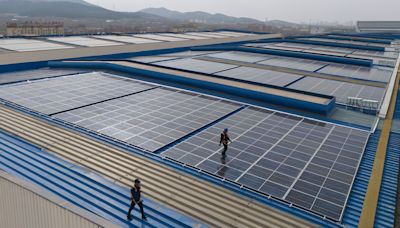 China's farms investing in solar show no sign of pausing buildout