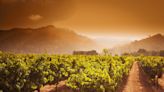 How to Find the Best Wines from Napa and Sonoma Valley