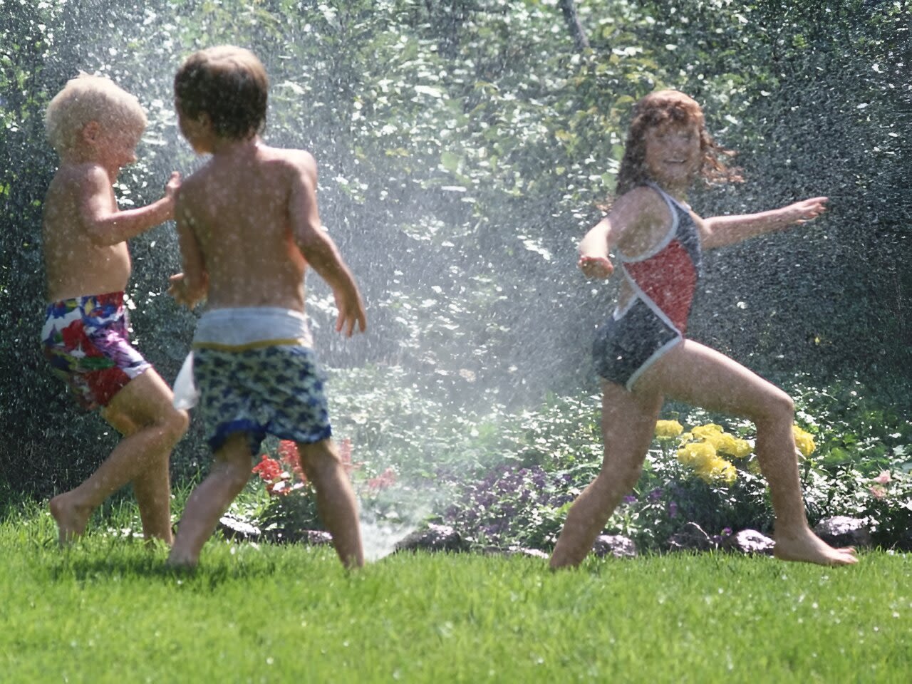 Children in Utah develop E. coli illness from playing around lawn sprinklers