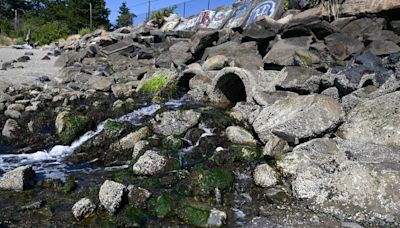 Death at Tacoma park culvert wasn’t the first. It’s long been targeted for replacement