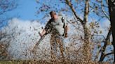 Gas-powered leaf blowers are a LOUD, polluting fall scourge. Here’s an idea: Ban them.