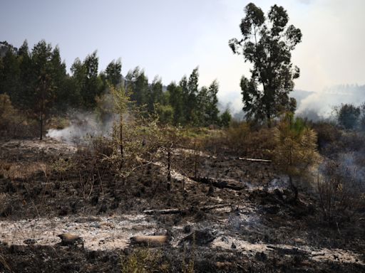 Cerca de 40 concelhos de sete distritos em perigo máximo de incêndio