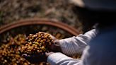 Why the cost of coffee beans is climbing - Marketplace