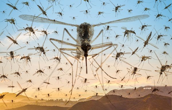 Mosquitoes can ruin a hike. Here's how to stop them