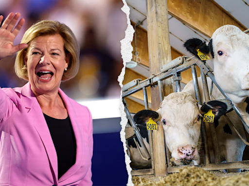 Wisconsin dairy farmer fact checks Democrat Senator Tammy Baldwin's 'coattail' claim that she has their 'back'