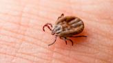 Lyme disease: Final trial ends 20-year wait for a vaccine against the tick-borne disease