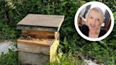 Community's fury as beloved beehive for 40,000 bees vandalised