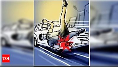 City techie survives collision with vehicle, run over by another in US | Hyderabad News - Times of India