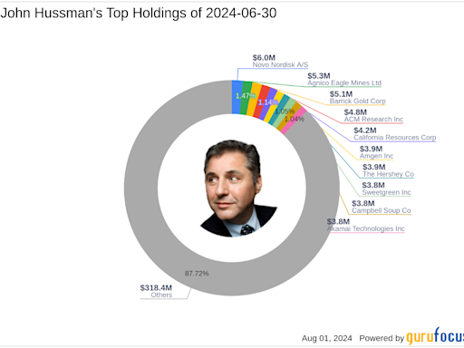 John Hussman's Strategic Moves: A Deep Dive into His Q2 2024 Portfolio Adjustments