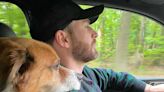 Chris Evans Returns to Instagram to Spotlight Shelter Dogs in Need of Homes: 'Just Like My Dog, Dodger'
