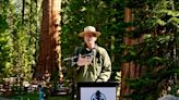 General Sherman passes health check but world’s largest trees face growing climate threats